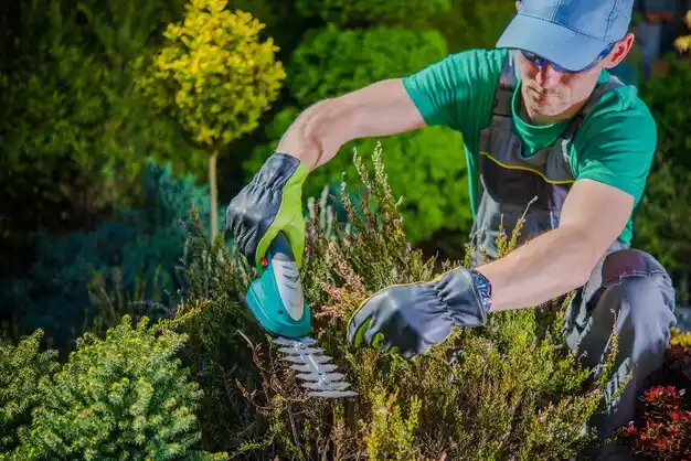 landscaping services Payne